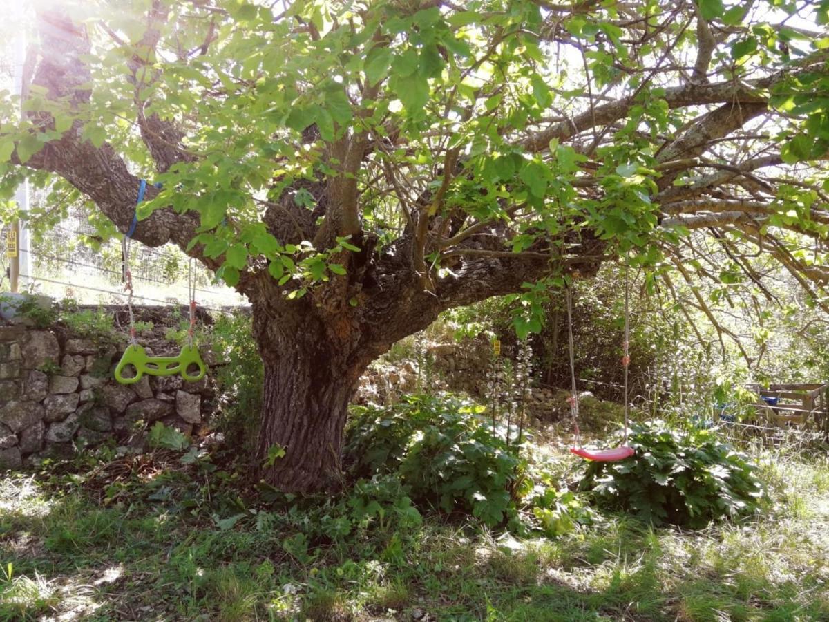 Bastide Provençale Les Mûriers d'Engaspaty Seillans Exterior foto
